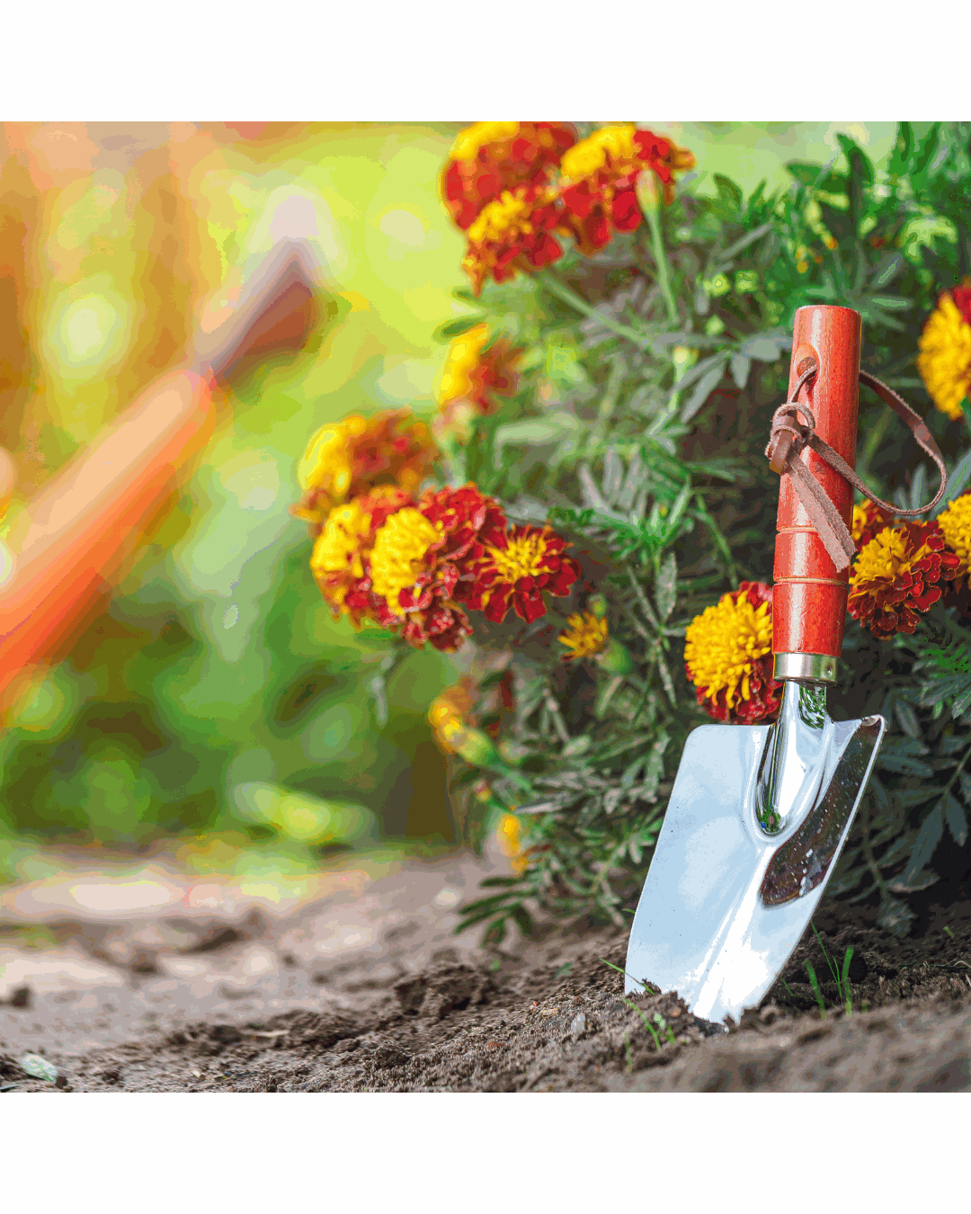 Odoo - Prueba 1 a tres columnas