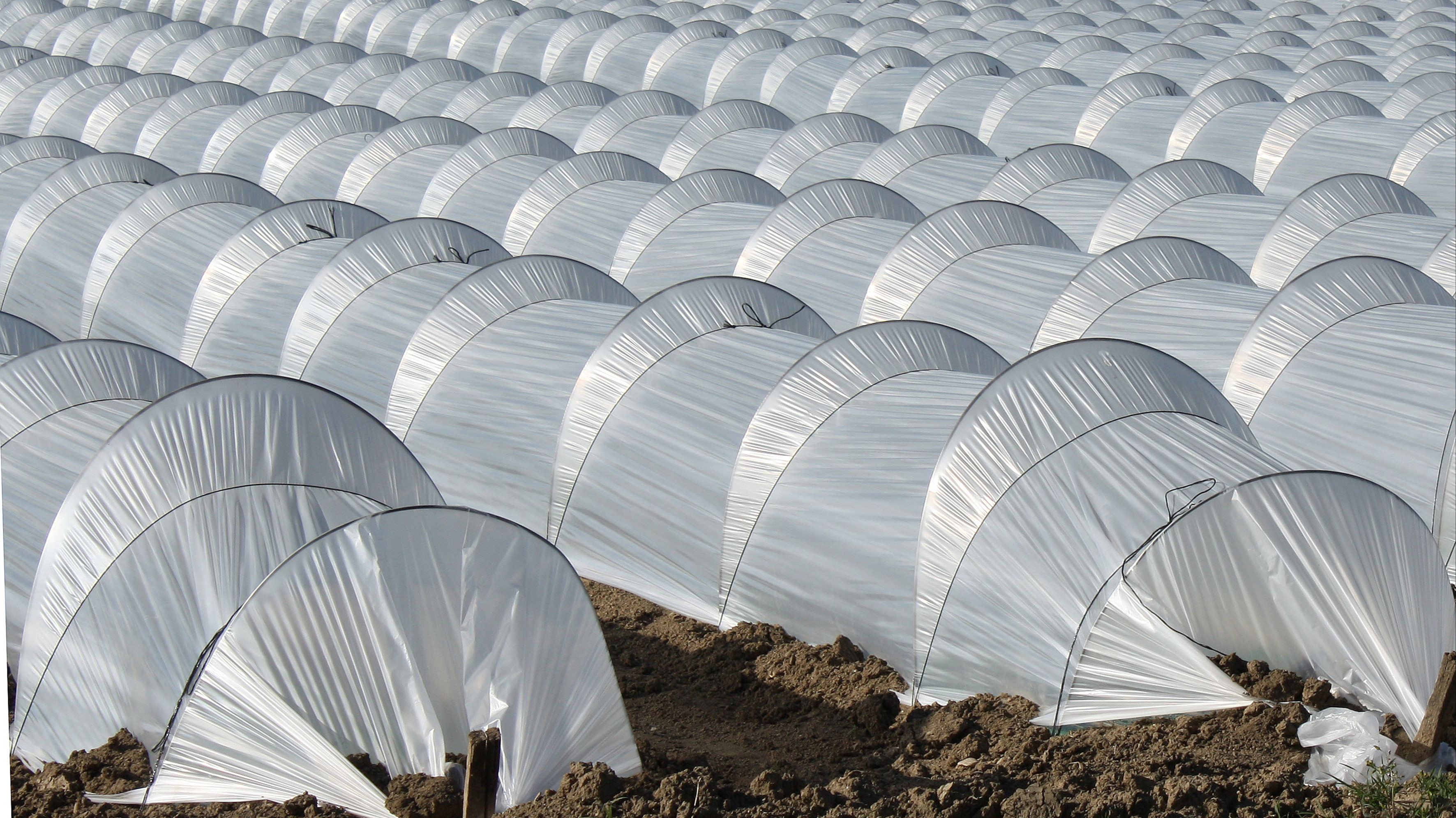 Odoo - Prueba 1 a tres columnas