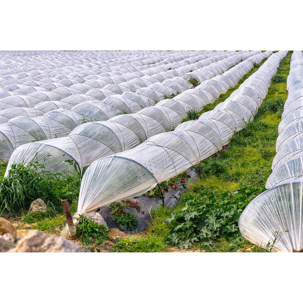 VARILLA PARA MICRO TÚNEL 4.200 UNIDADES