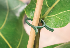 Clips para Plantas con Tutor – Ø 16 mm | Bolsa 1.000 uds.