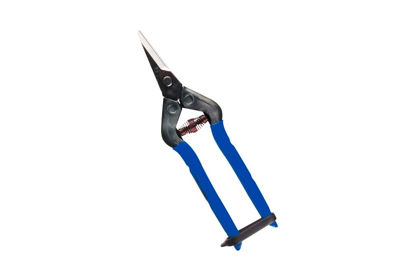 Tijera Recolección CHIKAMASA T-5C - 17,5 cm | Hoja Puntiaguda