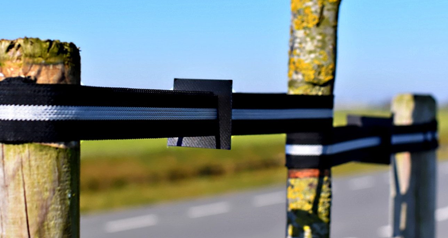 COLLARES + CLAVOS PARA ENTUTORAR