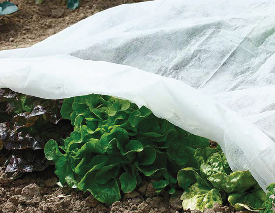 MANTA TÉRMICA 20 GR