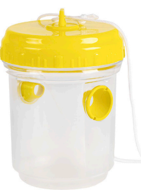 Trampa para Avispas - Atrapa Insectos | 2 udes.