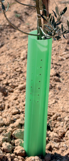 Protector de Árboles Tubo Abierto Perforado 60 cm - Caja de 200 uds