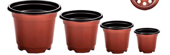 Maceta 9 cm | 10 udes