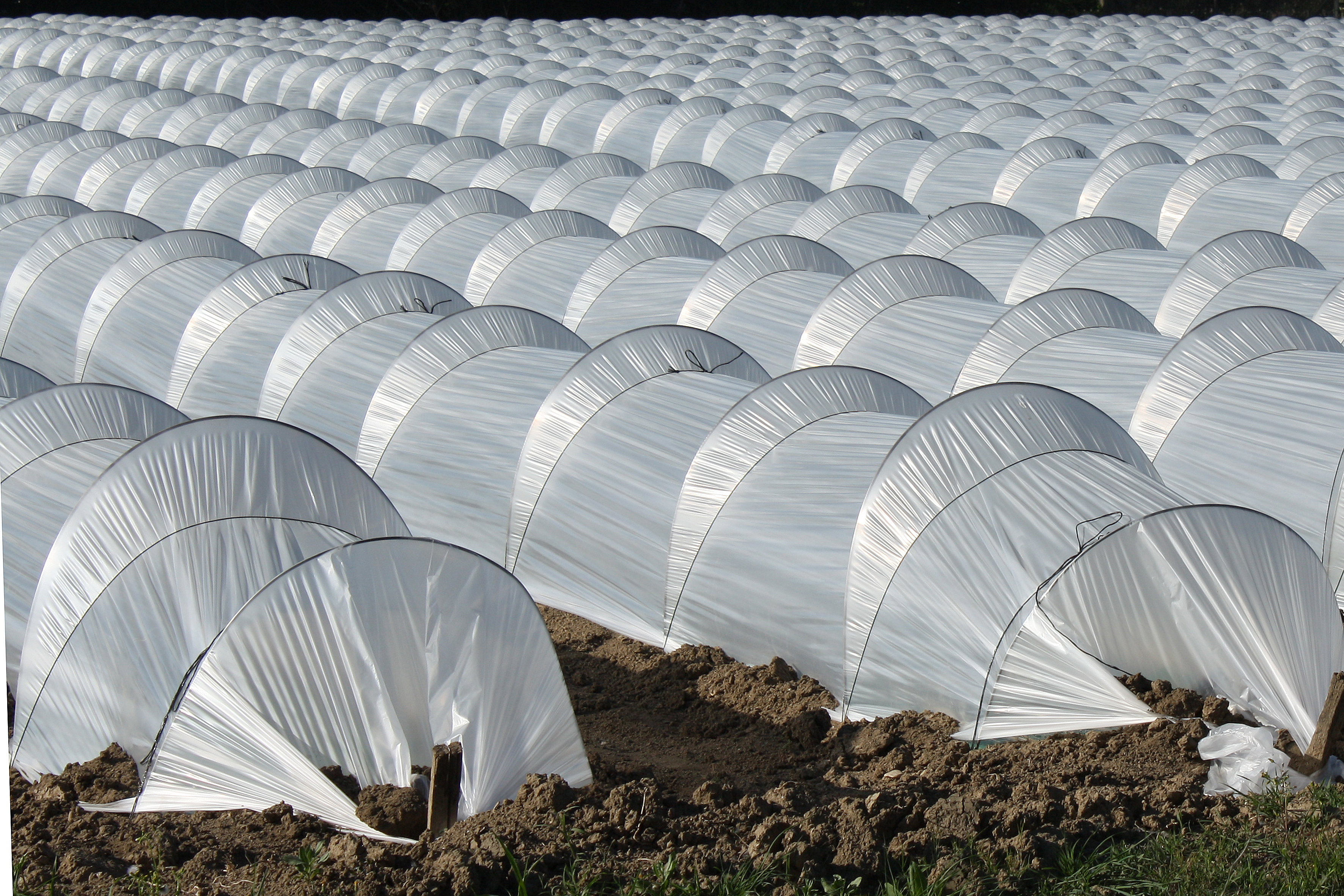 VARILLA PARA TUNELILLO DE DIÁMETRO 3,6 MM X 2.000 MM