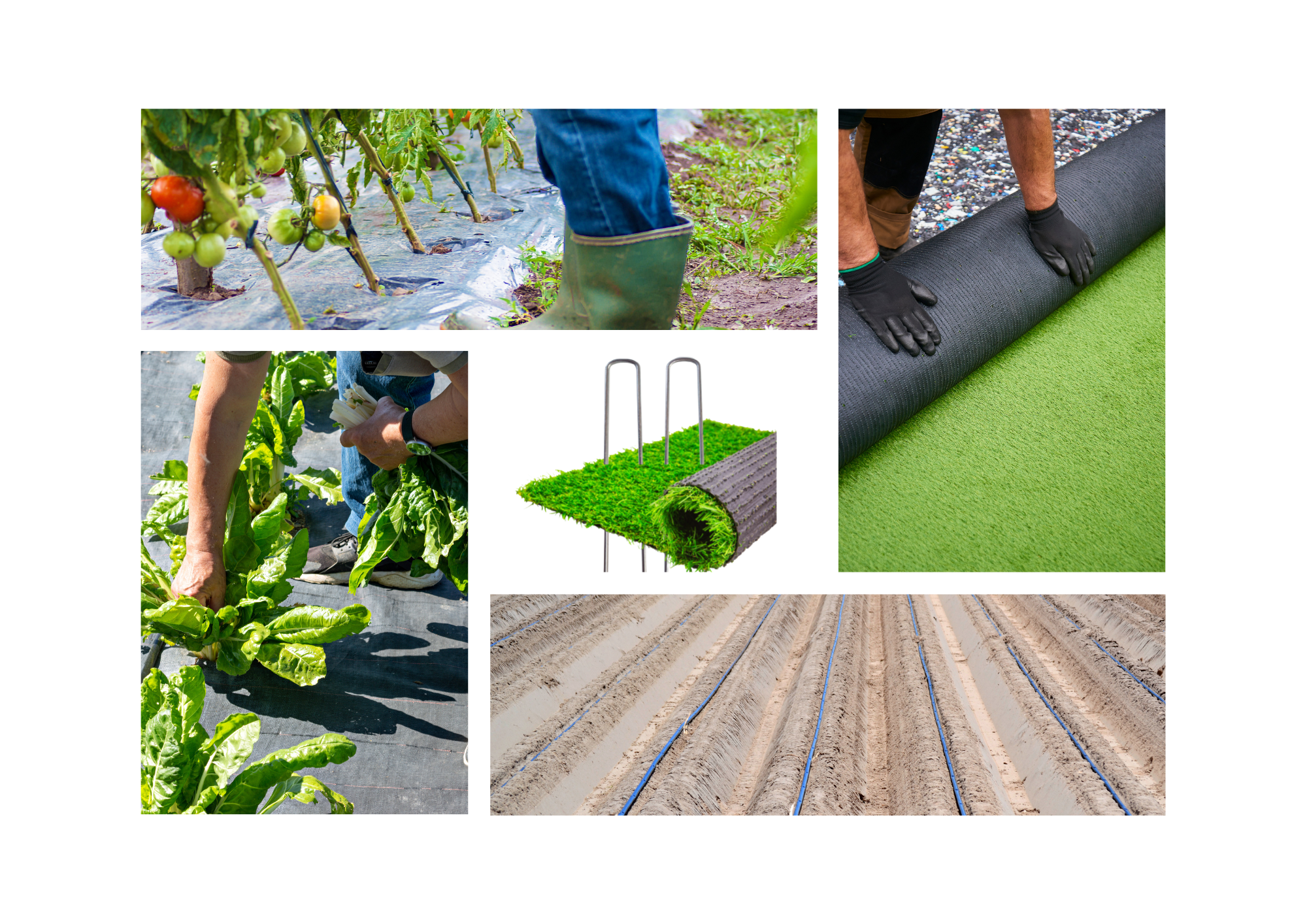 GRAPAS DE FIJACION 20 X 3 X 20 BOLSA 100 UDS.