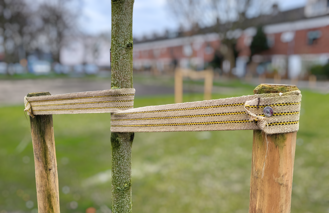 CINTURON BIO DE JUTE 100% NATURAL