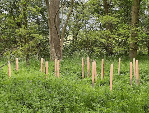 PROTECTOR ARBOSHIELD BIO 60CM