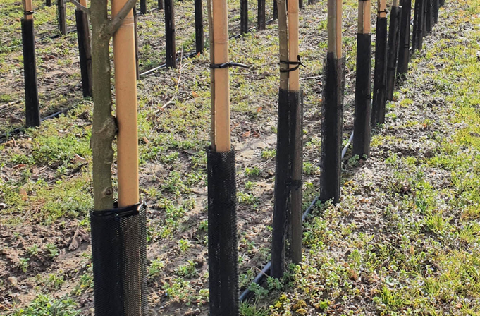 PROTECTOR FLEX GUARD 6 X 55 CM NEGRO 200 UDES.