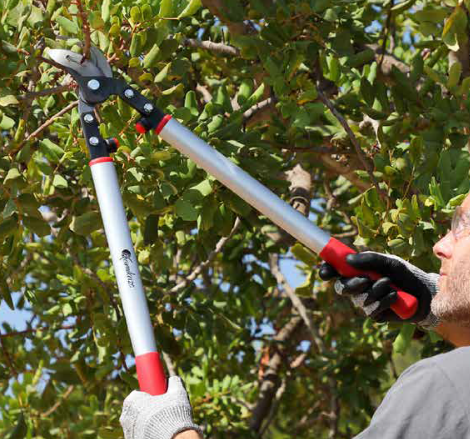 PODADORA KAMIKAZE KM-675 CLASSIC