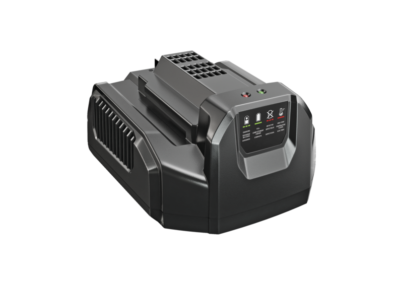 Motosierra Pértiga a Batería de 25 cm - Gama EGO Power + Profesional | KIT PS1003E